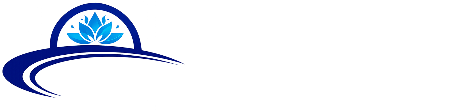 Nilüfer Halı Yıkama